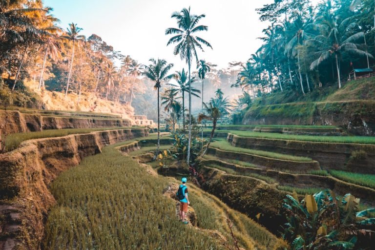 Unlocking Adventure: How Influencer Travel Services Transform Your Journeys